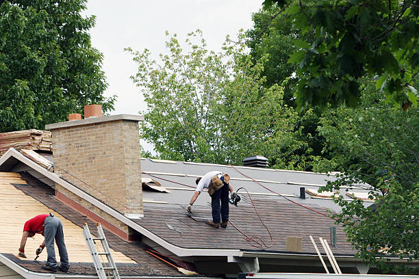 Best Roof Moss and Algae Removal  in Woodworth, LA